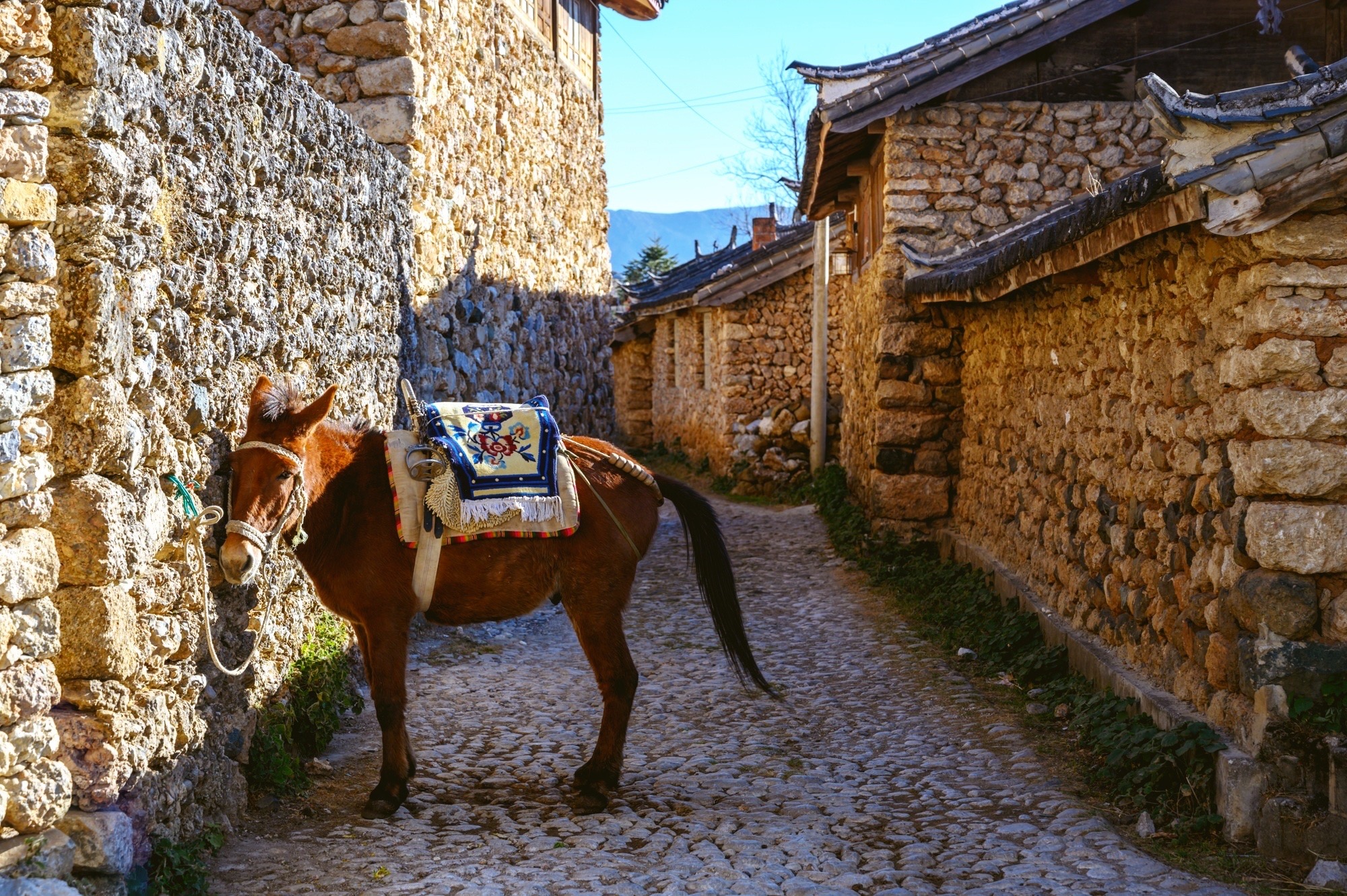 玉湖村,藏在玉龙雪山脚下的世外桃源,被誉为"玉龙山下第一村"