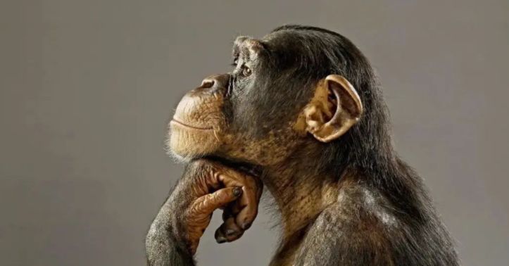 我们为啥找不到外星人?科学家给出9种解释,人类摧毁了外星人?休闲区蓝鸢梦想 - Www.slyday.coM