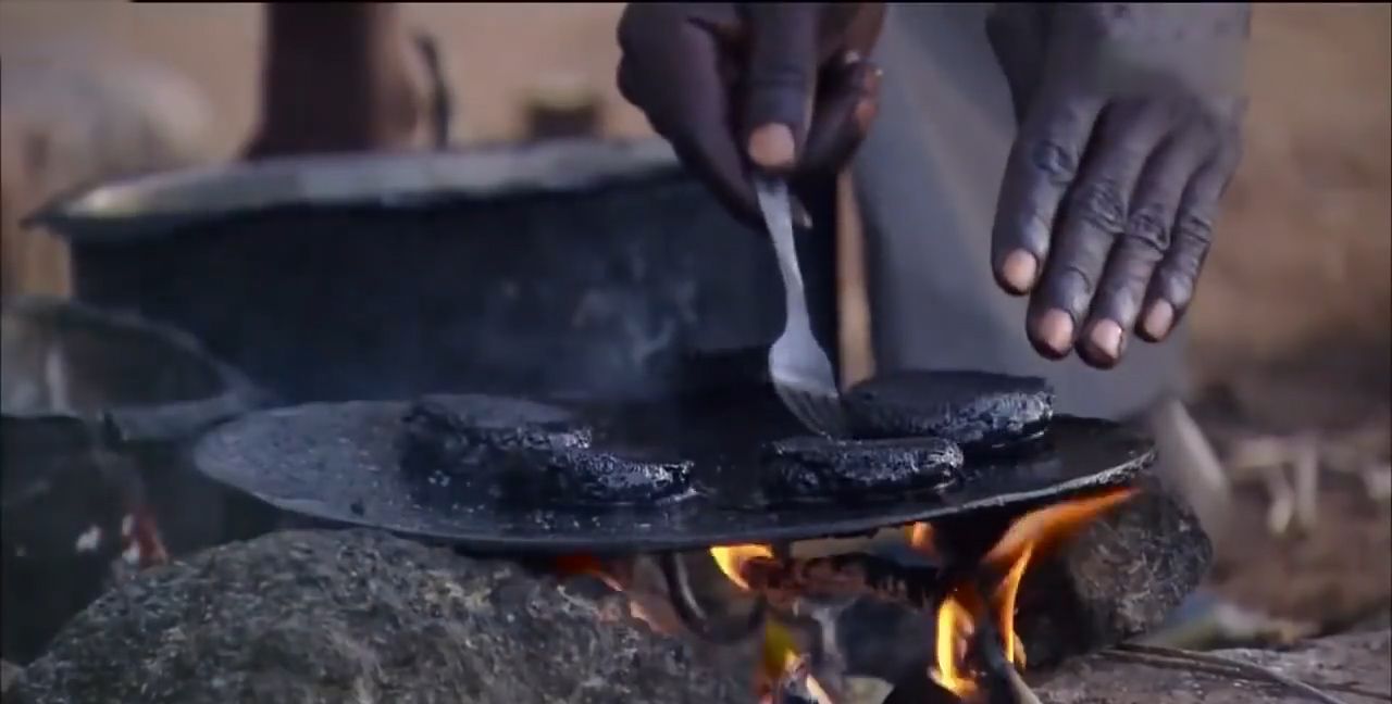 蚊子也能做肉饼?非洲传统美食"蚊子汉堡",蛋白质比牛肉高7倍