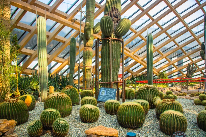 山西太原植物园建筑充满了时尚科技范成为了一处网红打卡地