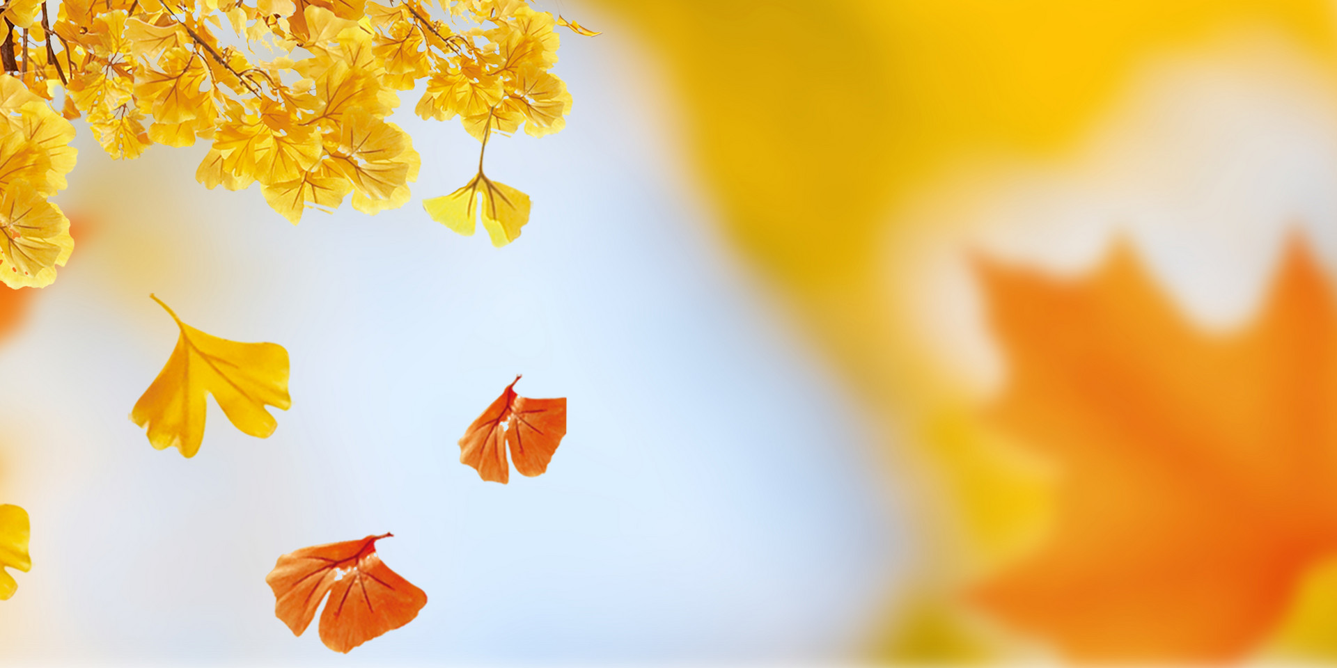 立秋节气之食疗养生