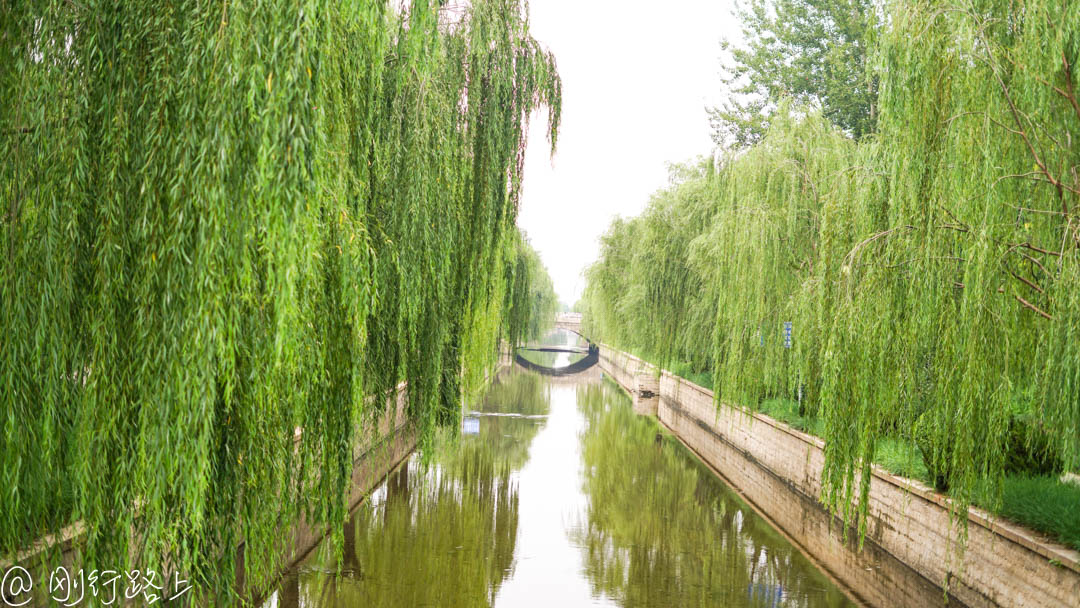 河堤上的柳树,枝条细长柔垂,姿态优美,别有风趣,在四季的轮回里,显示