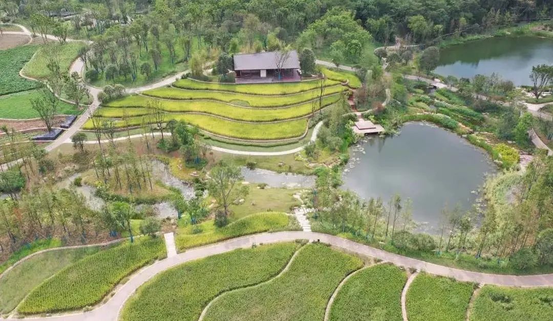 生态修复刷新颜值这里是广阳岛智创生态城