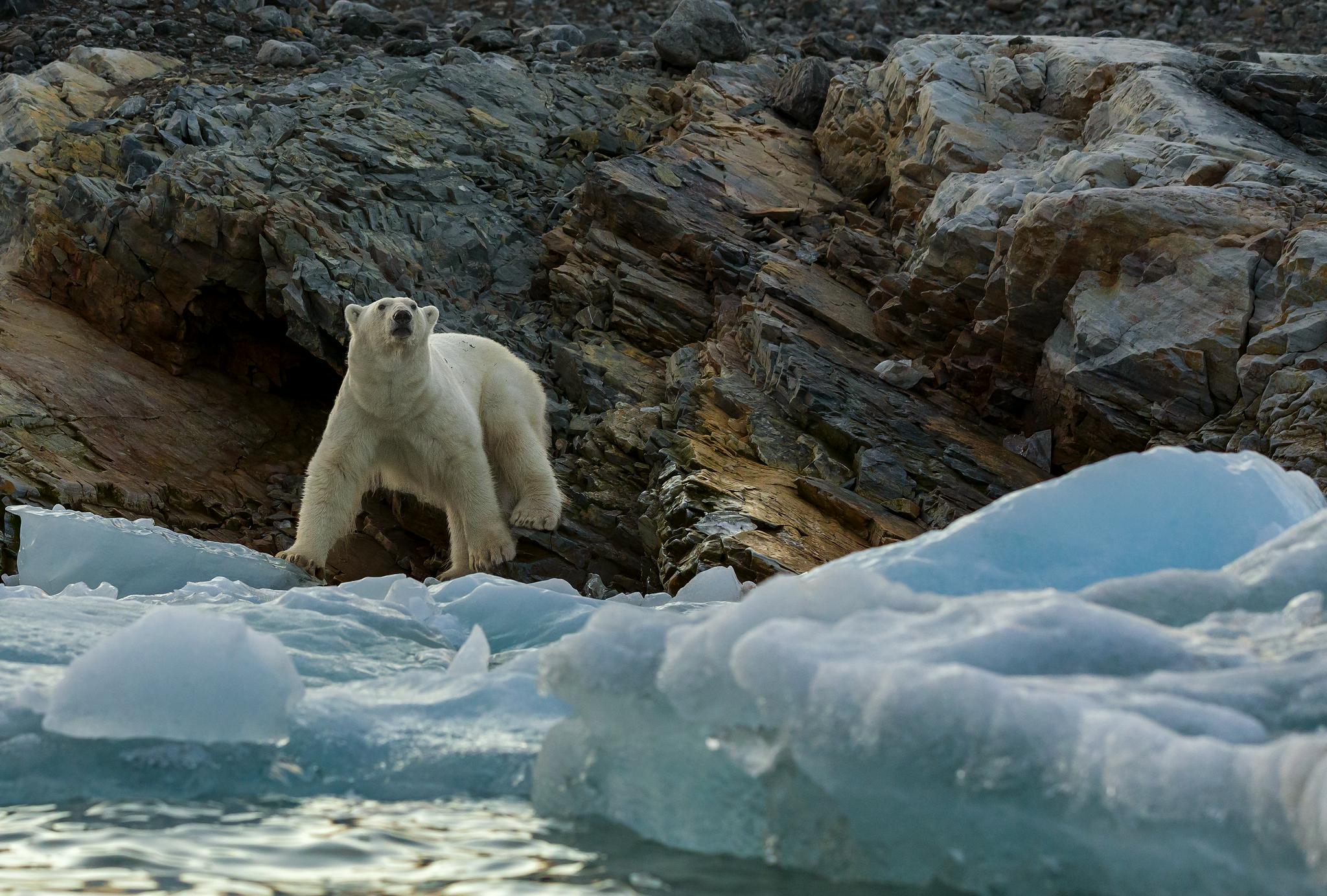 新闻8点见丨湖北随州遭遇特大暴雨，有地区积水达2.46米休闲区蓝鸢梦想 - Www.slyday.coM
