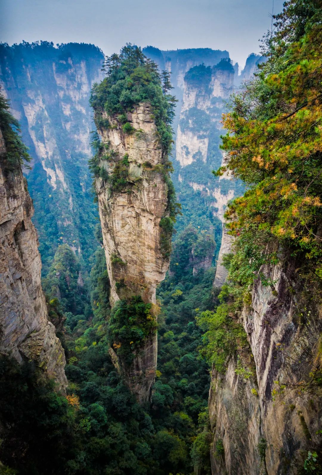 去不了张家界最伤心的可能是韩国人