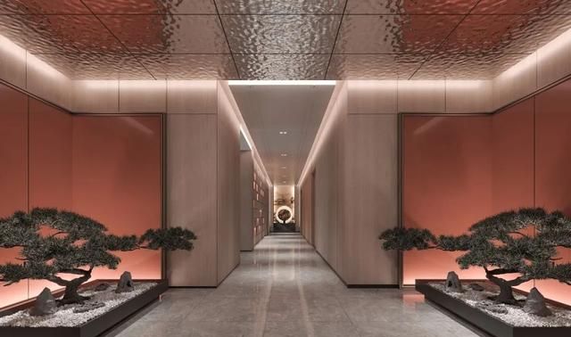 襄阳三木盛和 曹涛 青松藤枝 灯盏花火 藏在筑阳的意境之美 三木 襄阳 曹涛 新浪新闻