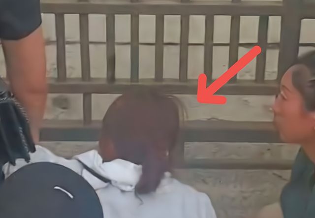 黑龙江20岁女生减肥后猝死,生前饮食曝光,减肥不能光节食休闲区蓝鸢梦想 - Www.slyday.coM