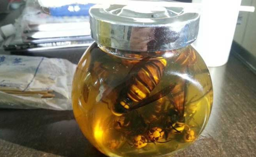 那就是之前,我国浙江台州临海东塍男子,上山去抓"地雷蜂",结果失联3天