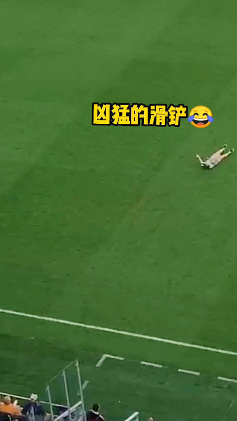 小球迷闯入足球赛场,宝妈一记漂亮的滑铲把他捉了回来!_手机新浪网