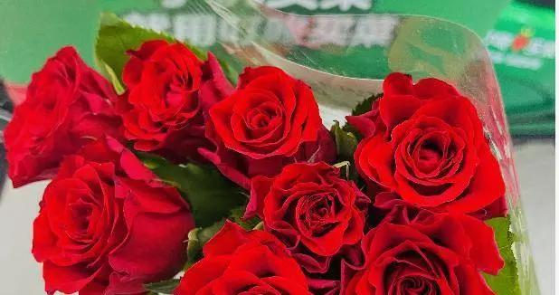 红玫瑰为什么说是爱情的象征 这个称号原来是怎么来的