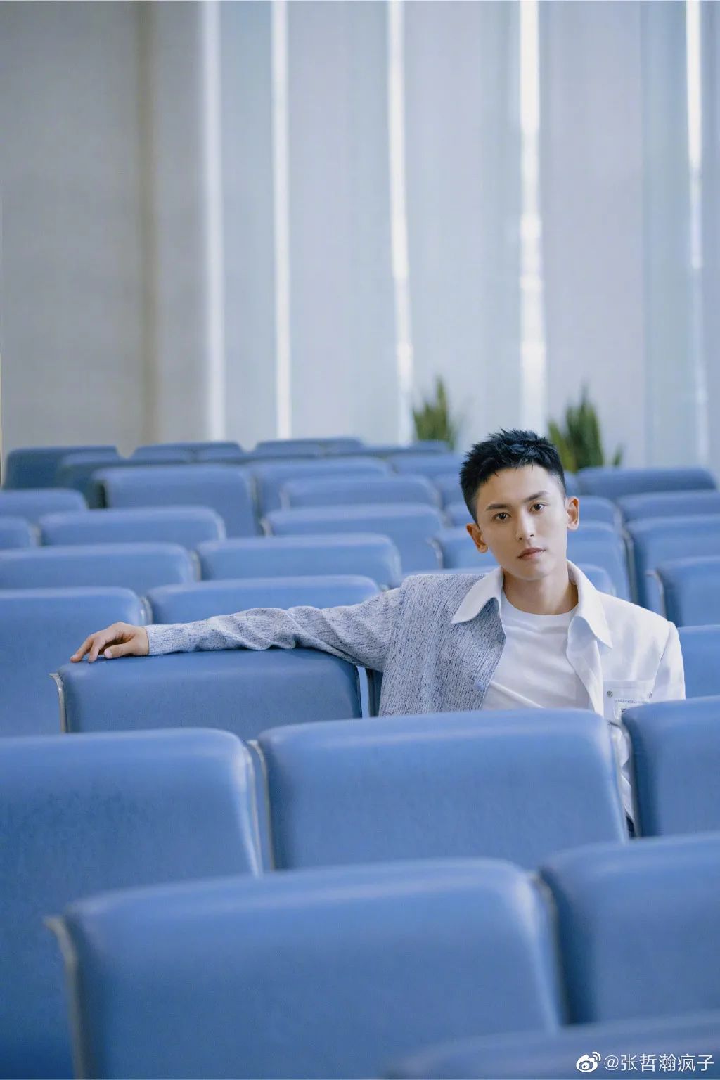 张哲瀚名下关联公司有5家,目前存续的仅青岛瀚坤影视文化工作室1家