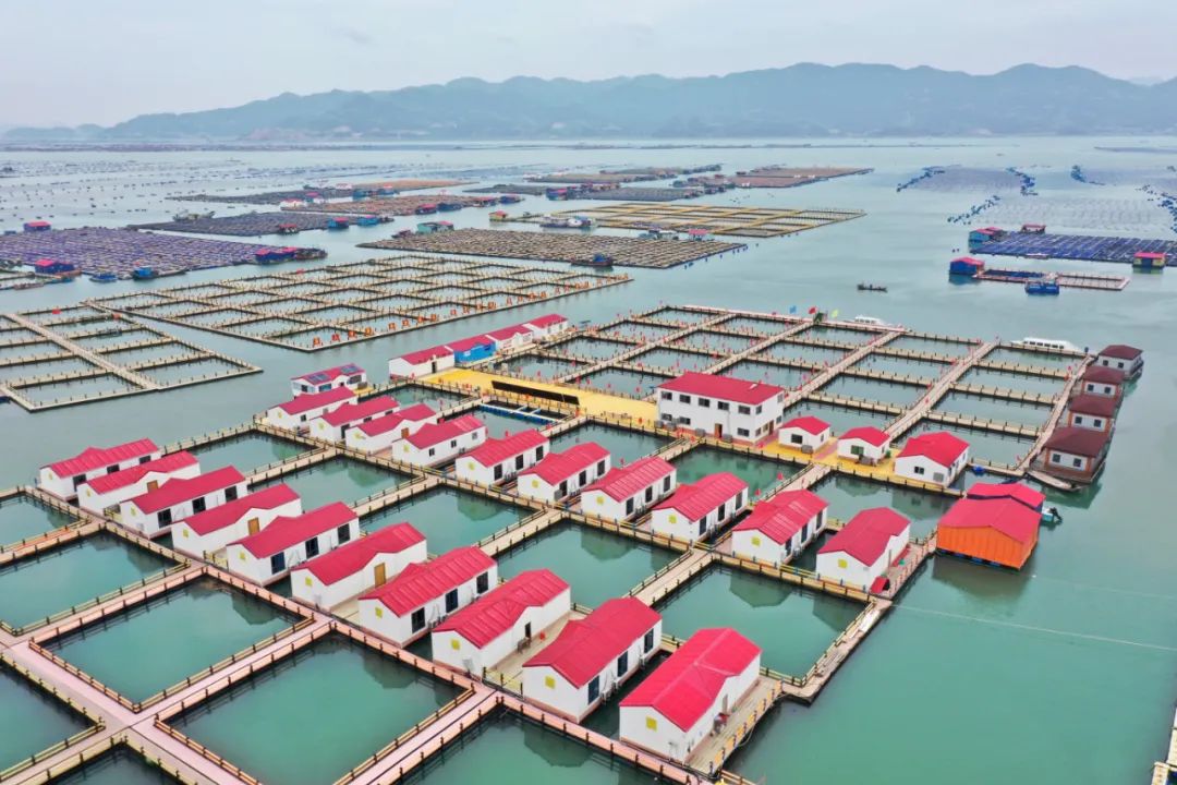 这是7月1日拍摄的霞浦县溪南镇七星海域深水网箱养殖区内的渔排棉宿