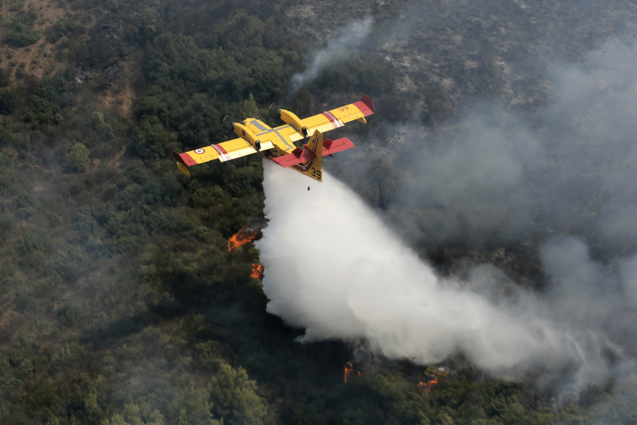 阿尔及利亚多地发生森林火灾