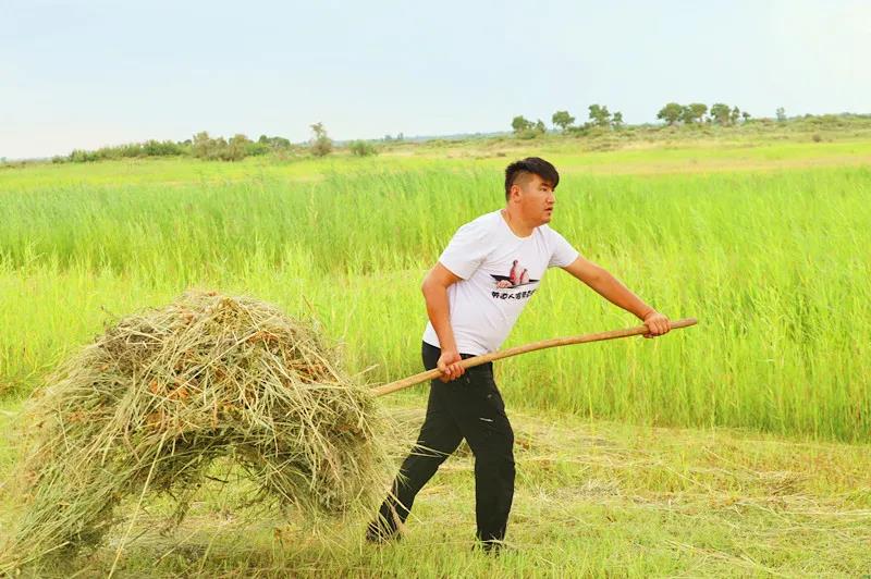 牧民正在草场打草央广网发