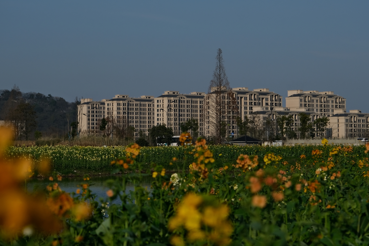 双浦镇立足拥江发展推动共同富裕