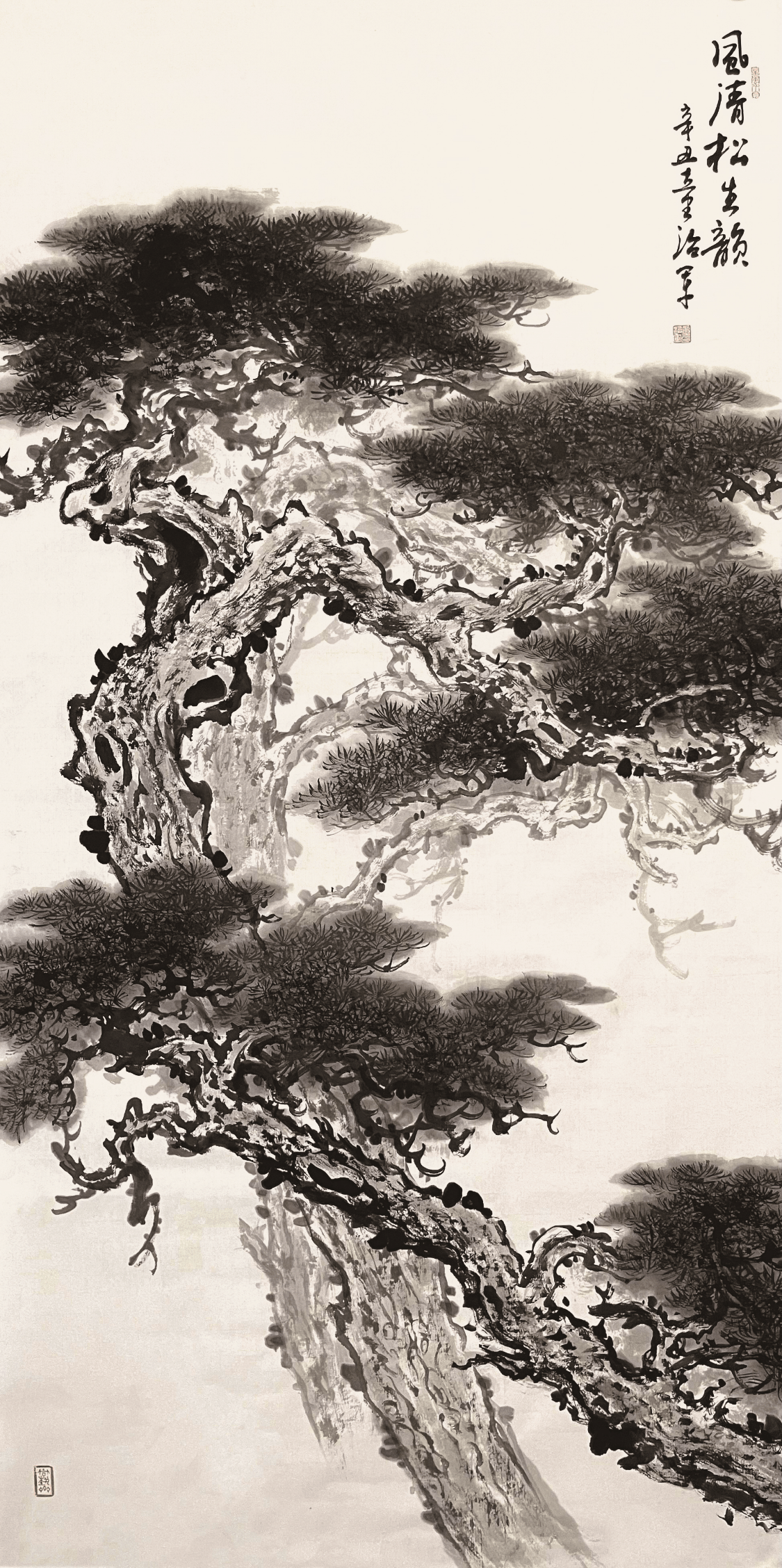 赏童治军画松:苍松有傲骨 松风览古今