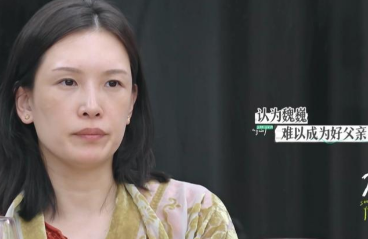 再见爱人佟晨洁不愿生小孩知道原因后观众也不觉得怪她