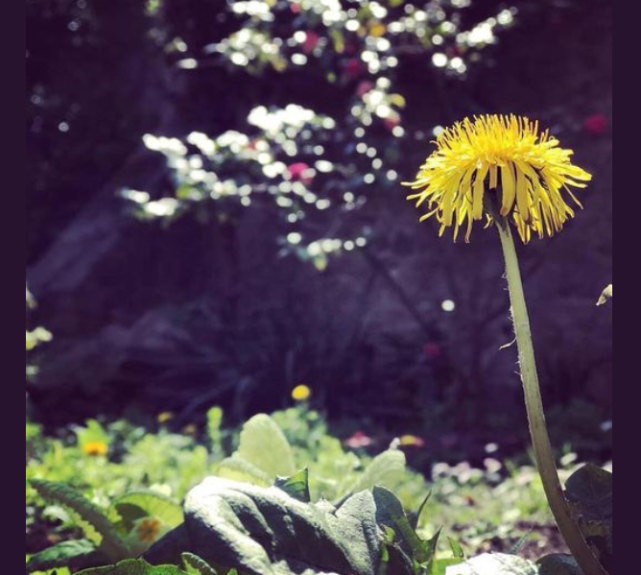 知名男星痛失9个月二胎宝宝心如刀绞！孩子被查出有一颗肾未成形休闲区蓝鸢梦想 - Www.slyday.coM