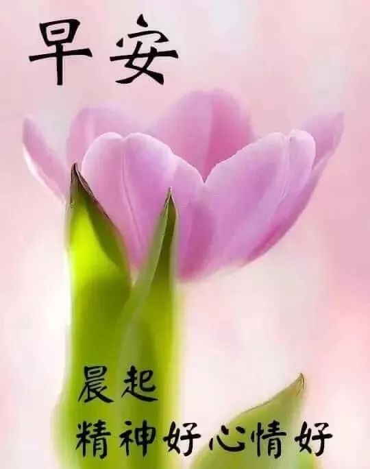 世界上,最珍贵的东西都是免费的,也许是你早已拥有的,例如:阳光空气
