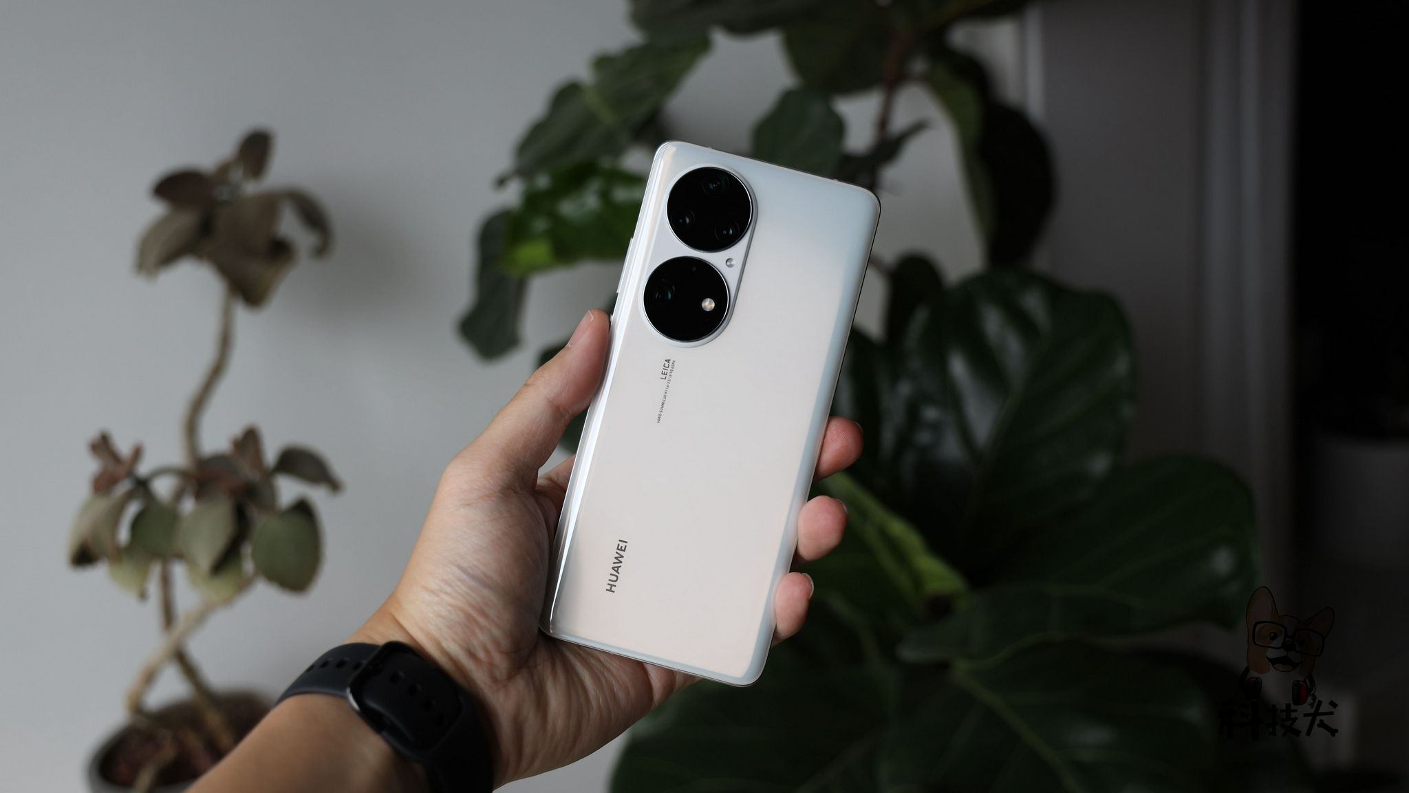 华为p50pro开箱计算光学技术让手机摄影进入算法时代