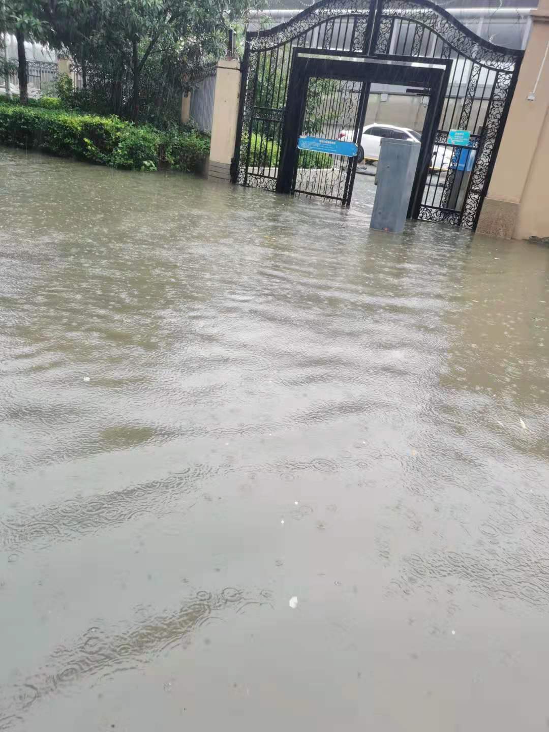河南雨灾图片图片