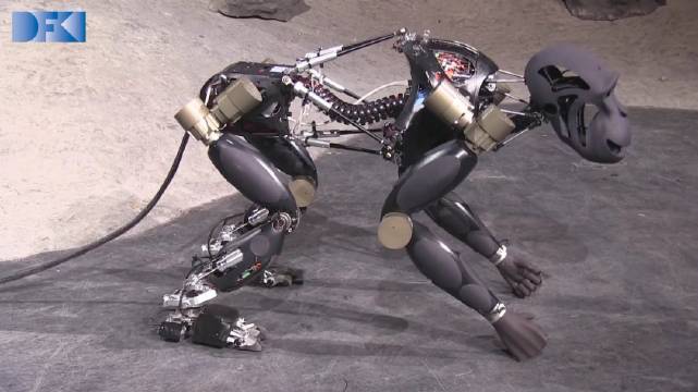 行走机器人charlie的自恢复行为训练