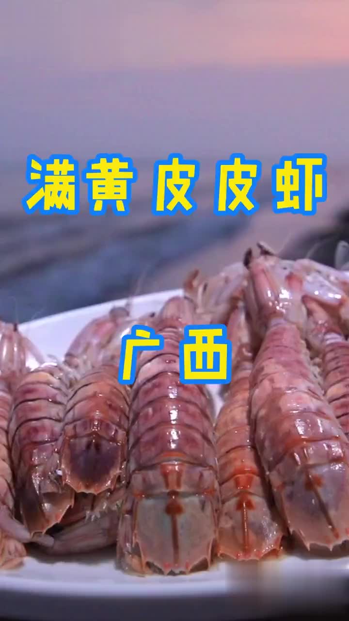 能剥出整条虾黄的皮皮虾肉肥味美性价比极高