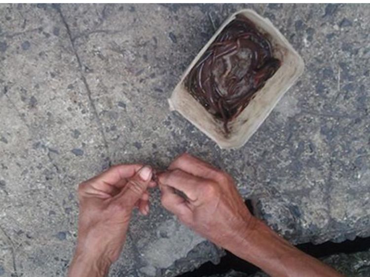 头盔|泥鳅|下水道_新浪新闻