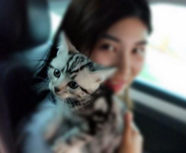 网友私自带猫咪回家,不料被家里的猫藐视了,随后一幕令人尴尬休闲区蓝鸢梦想 - Www.slyday.coM 网友私自带猫咪回家,不料被家里的猫藐视了,随后一幕令人尴尬休闲区蓝鸢梦想 - Www.slyday.coM