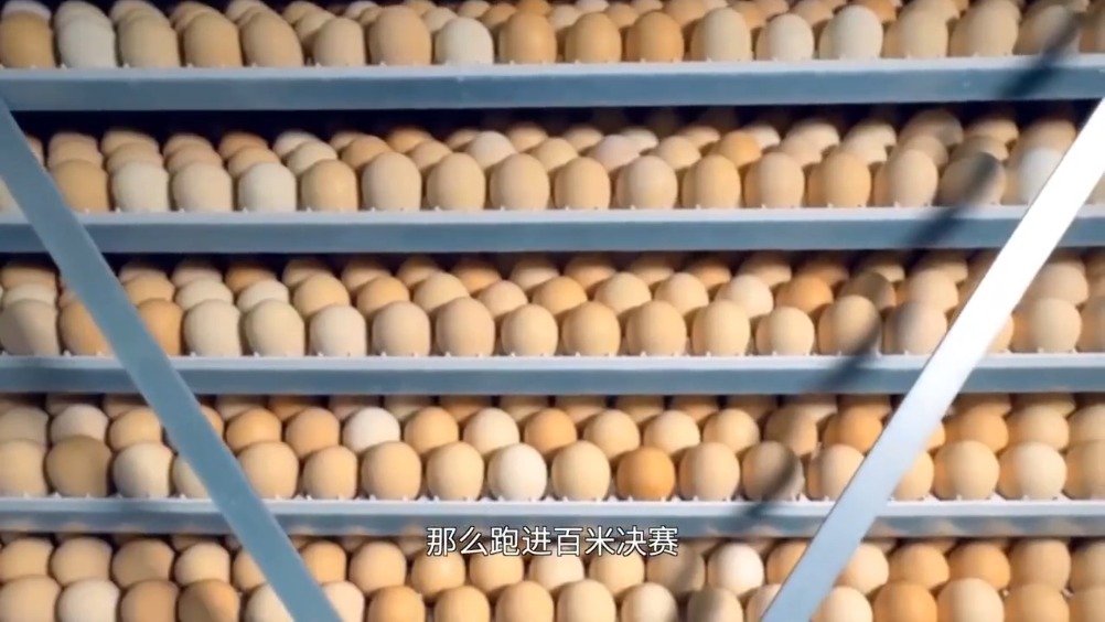 中国人的摘金夺银史,也是一部肉蛋奶摄入量的增长史