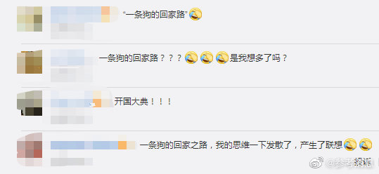 CCTV6今天播放一条狗的回家路  网友：是我想多了吗？休闲区蓝鸢梦想 - Www.slyday.coM