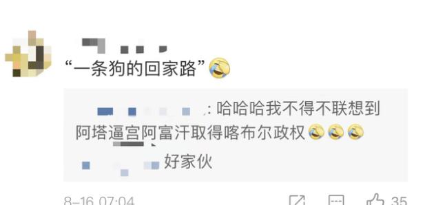 CCTV6播放一条狗的回家路寓意了什么？网友称很应景休闲区蓝鸢梦想 - Www.slyday.coM