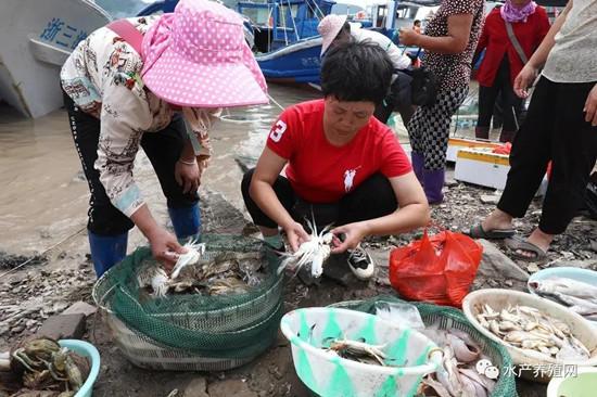 对虾等品种又要掉价？东海南海开捕，大量海鲜上市，很多水产品都会被冲击！9月对虾价格还不会好？休闲区蓝鸢梦想 - Www.slyday.coM