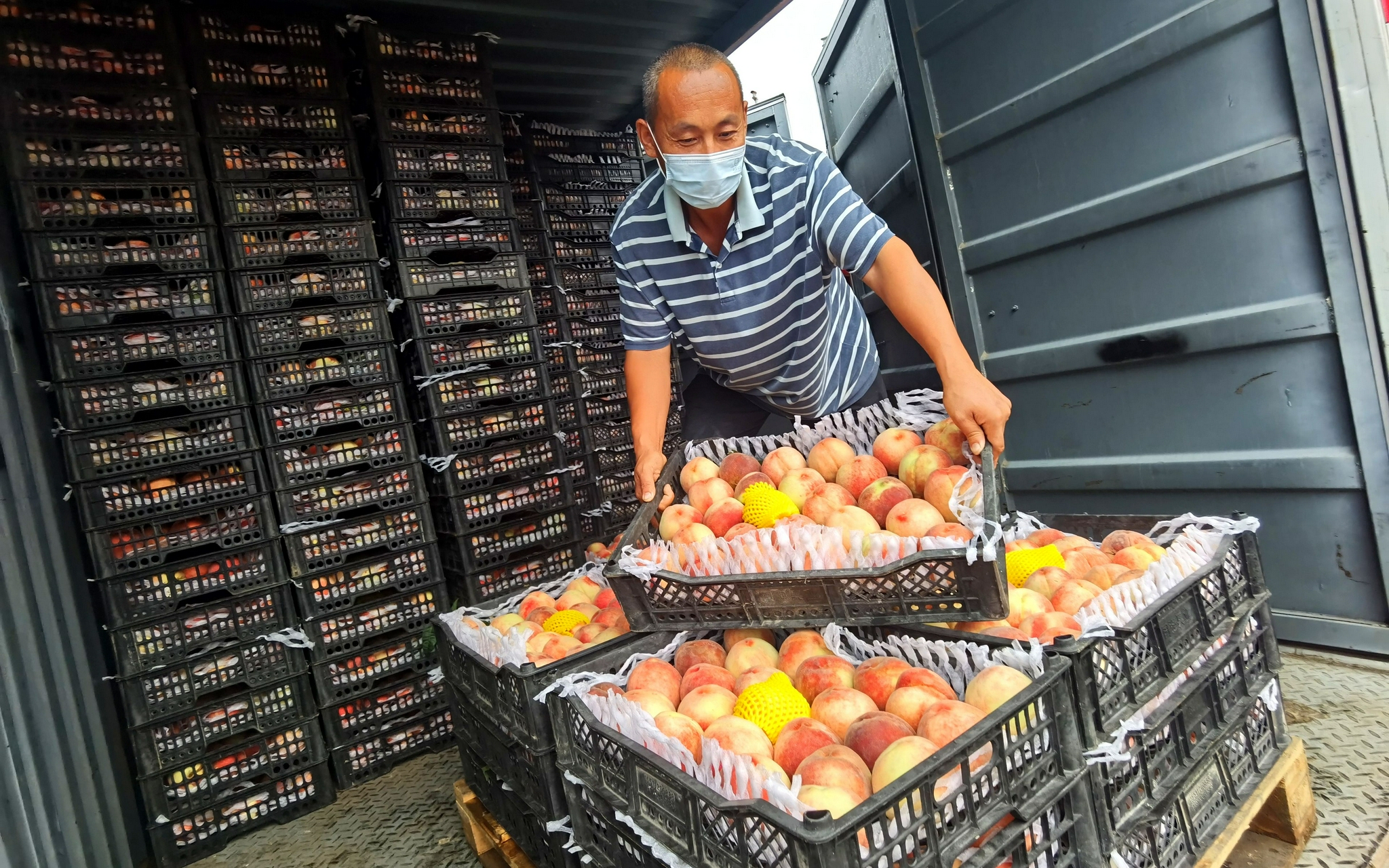 工作人员正在卸货.马平川 摄