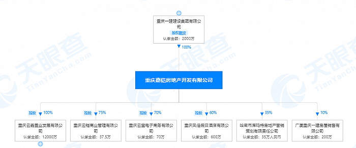 图片来源：天眼查网站截图