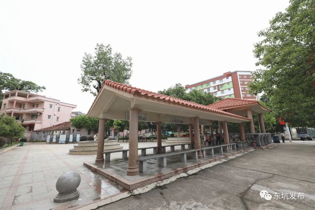 【我为群众办实事——"一把手"访谈】东坑镇丁屋村:以问题为导向,做实