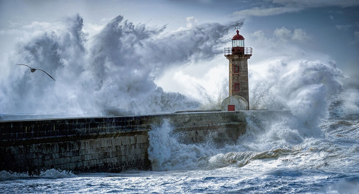 新浪观点小软装行业下半程的风往哪里吹