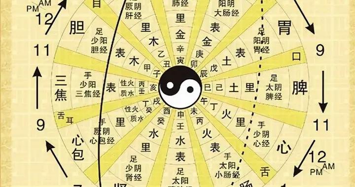 中医教你十二时辰经络养生法,每天跟着做,远离疾病,健康又长寿|养生|中医_新浪新闻