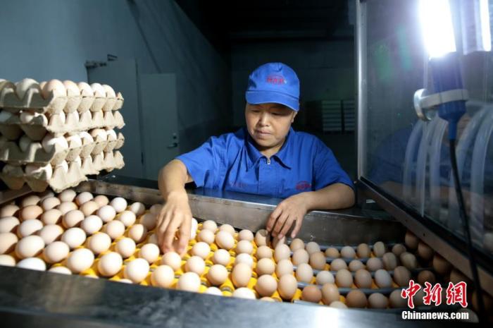 一个月涨价约20% 中国鸡蛋价格缘何飞涨？
