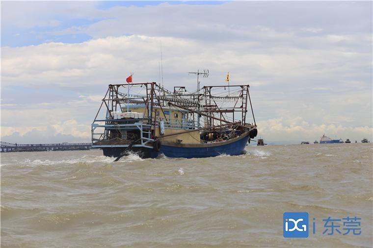 开渔虎门新湾渔港数百渔船齐出海