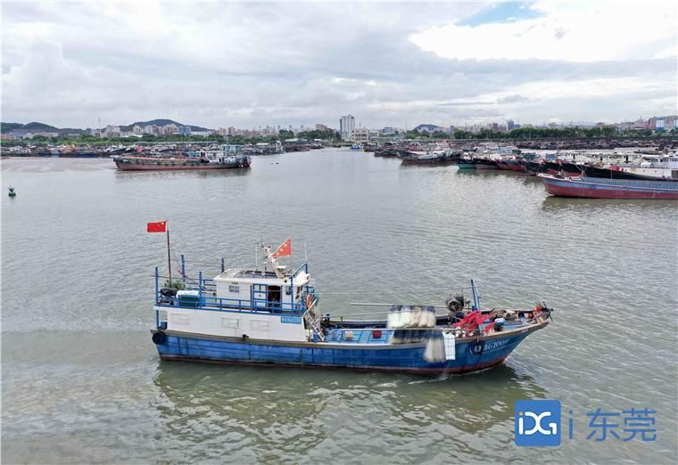 开渔虎门新湾渔港数百渔船齐出海