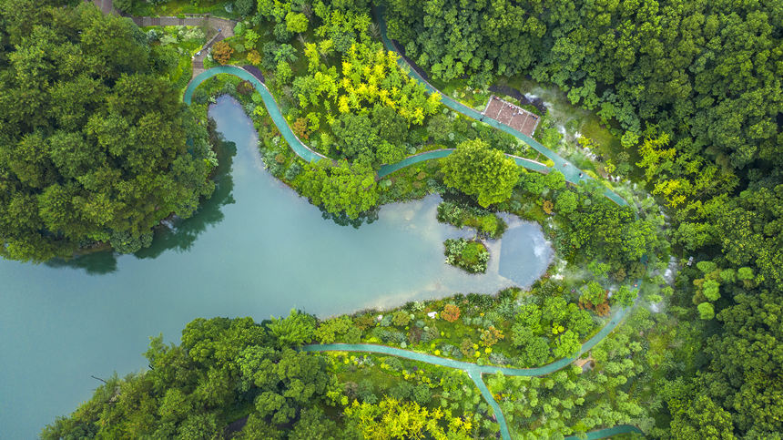 重庆北碚:黛湖风景美如画|缙云山|重庆市|湿地_新浪新闻