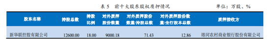 图片来源:联合资信评级报告