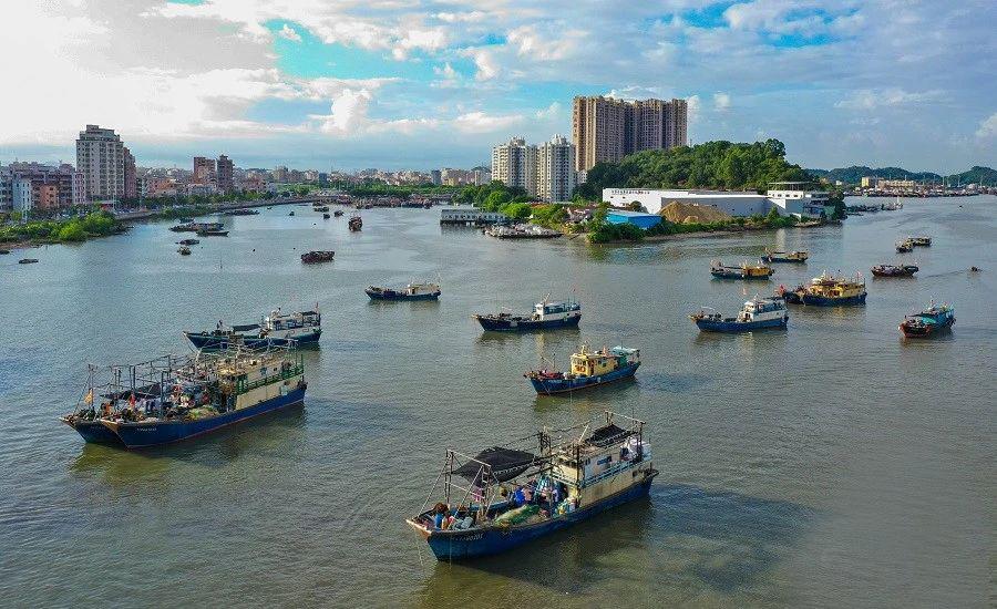 8月16日中午12时,虎门新湾渔港马达轰鸣,虎门镇共197艘出海生产作业的