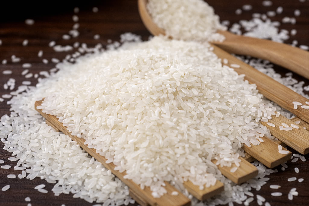 田坤道五常大米的封神之路环境与匠心共同铸造粮食神话