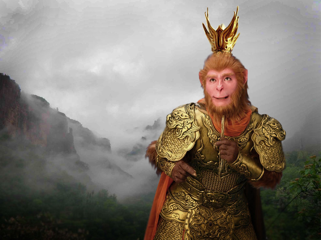 陕西大山发现美猴王引得众人丛林中探秘看它们活成啥样