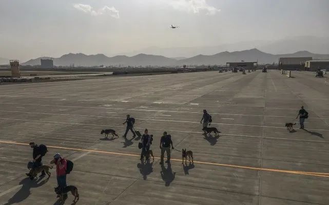 640名阿富汗人挤满美军机地板,美军犬独坐一个座休闲区蓝鸢梦想 - Www.slyday.coM 640名阿富汗人挤满美军机地板,美军犬独坐一个座休闲区蓝鸢梦想 - Www.slyday.coM