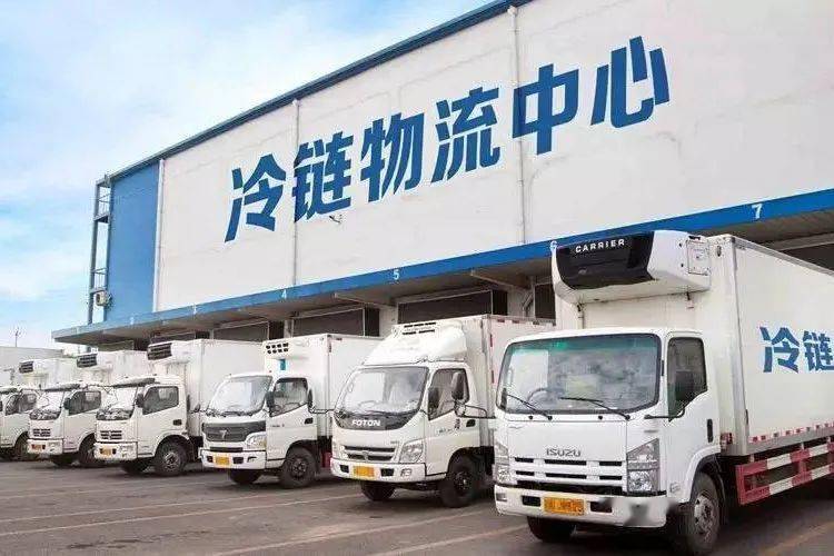 2021年中国冷链产业发展报告多点增长危机并存
