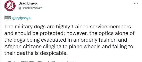 640名阿富汗人挤满美军机地板,美军犬独坐一个座休闲区蓝鸢梦想 - Www.slyday.coM 640名阿富汗人挤满美军机地板,美军犬独坐一个座休闲区蓝鸢梦想 - Www.slyday.coM