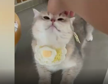 长沙女子因配乐被判赔泸州老窖7万元:拍着玩,没想到会惹官司休闲区蓝鸢梦想 - Www.slyday.coM 长沙女子因配乐被判赔泸州老窖7万元:拍着玩,没想到会惹官司休闲区蓝鸢梦想 - Www.slyday.coM